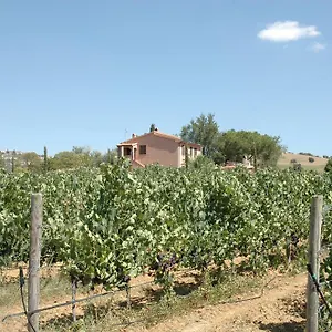 Pian Dei Pini Alloggio per agriturismo Montiano (Tuscany)